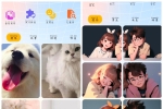 趣美壁纸大全v1.1去广告版 一款手机壁纸大全